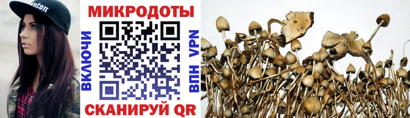 Псилоцибиновые грибы мухоморы  Ленинск 